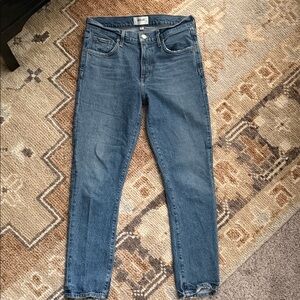 Agolde Blue Ankle Jeans